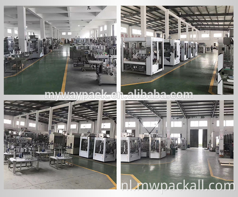 Hot Sale Factory Direct automatische sapvulling- en afdichtingsmachine Machines Liquid 6 Head